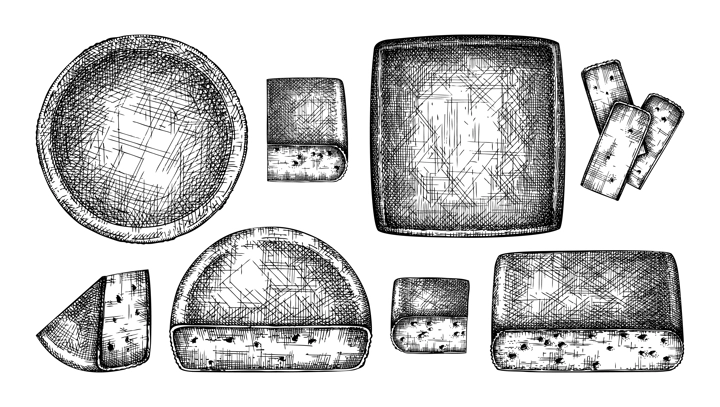 Sketch style cheese collection. Hand-drawn food illustrations. Dairy products vector drawings. NOT AI generated